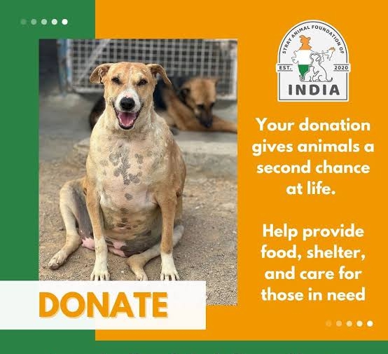 DOGS DONATION
